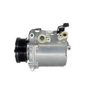 Compresor CPN107