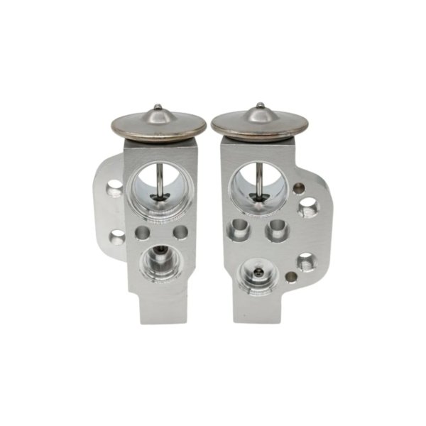 Válvula De Expansión EX012