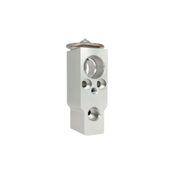 Válvula De Expansión EX021