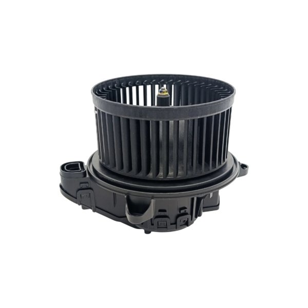 MS009 (2) Moto Soplador MS009