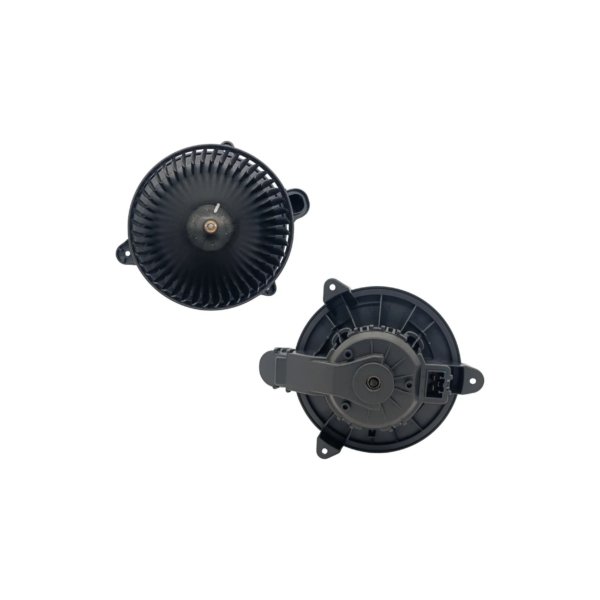 MS009 (4) Moto Soplador MS009