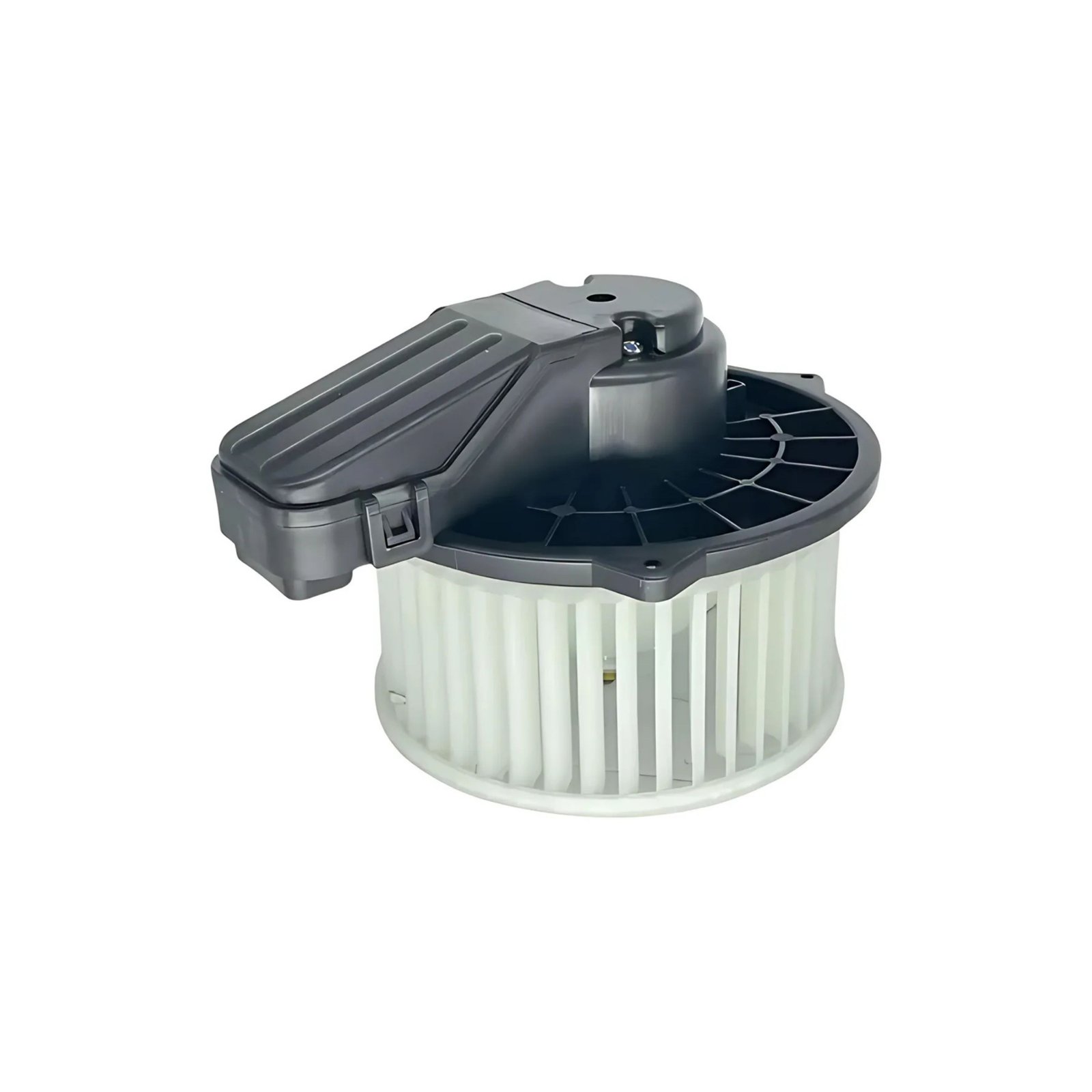 MS022 Moto Soplador MS022