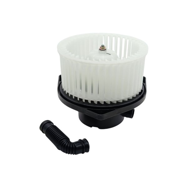 MS026 (3) Moto Soplador MS026