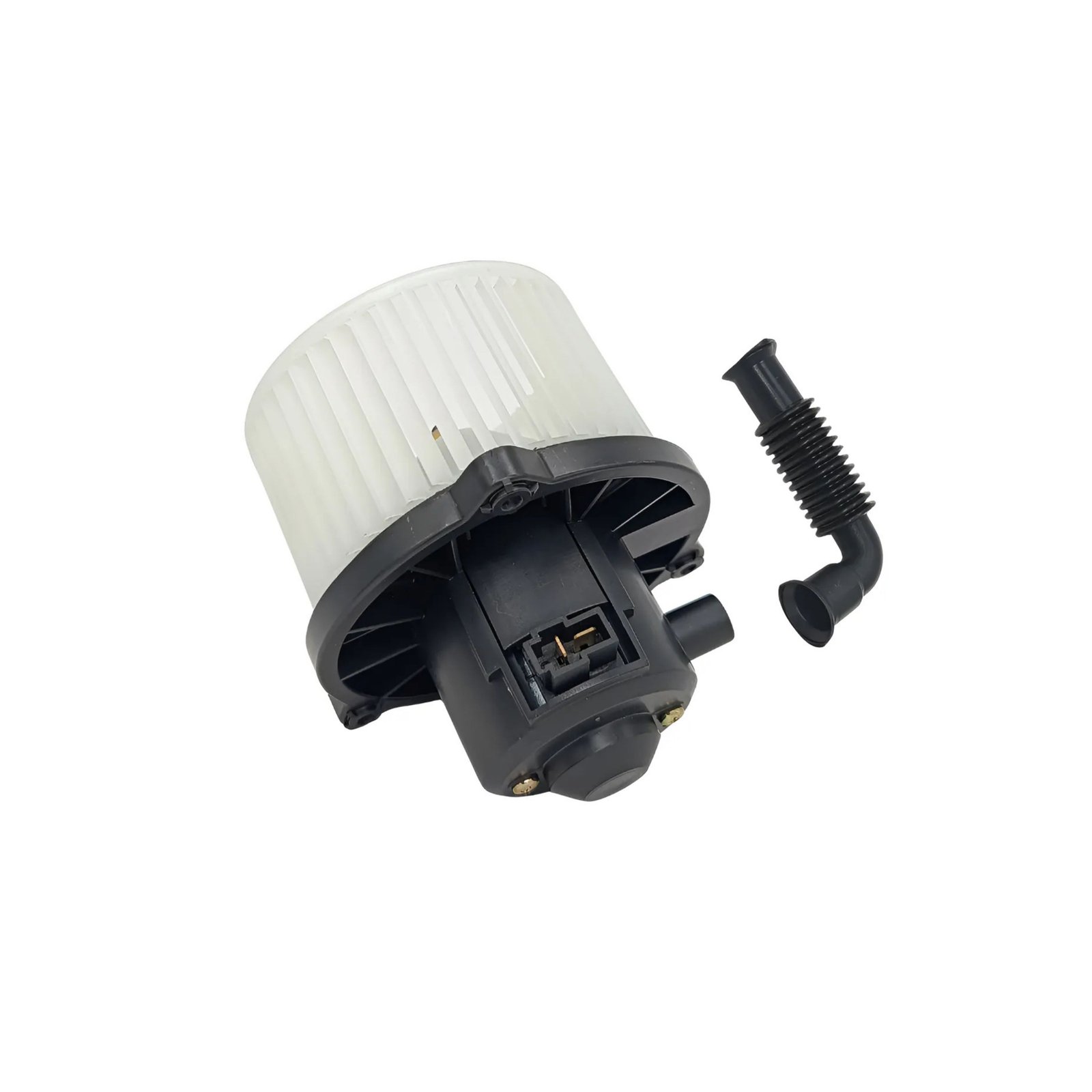 MS037-2 Moto Soplador MS037