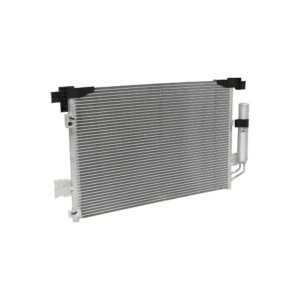 Condensador CN021