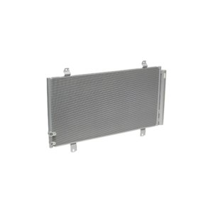 Condensador CN100