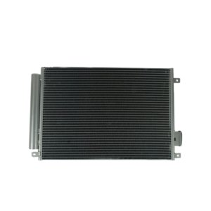 Condensador CN165