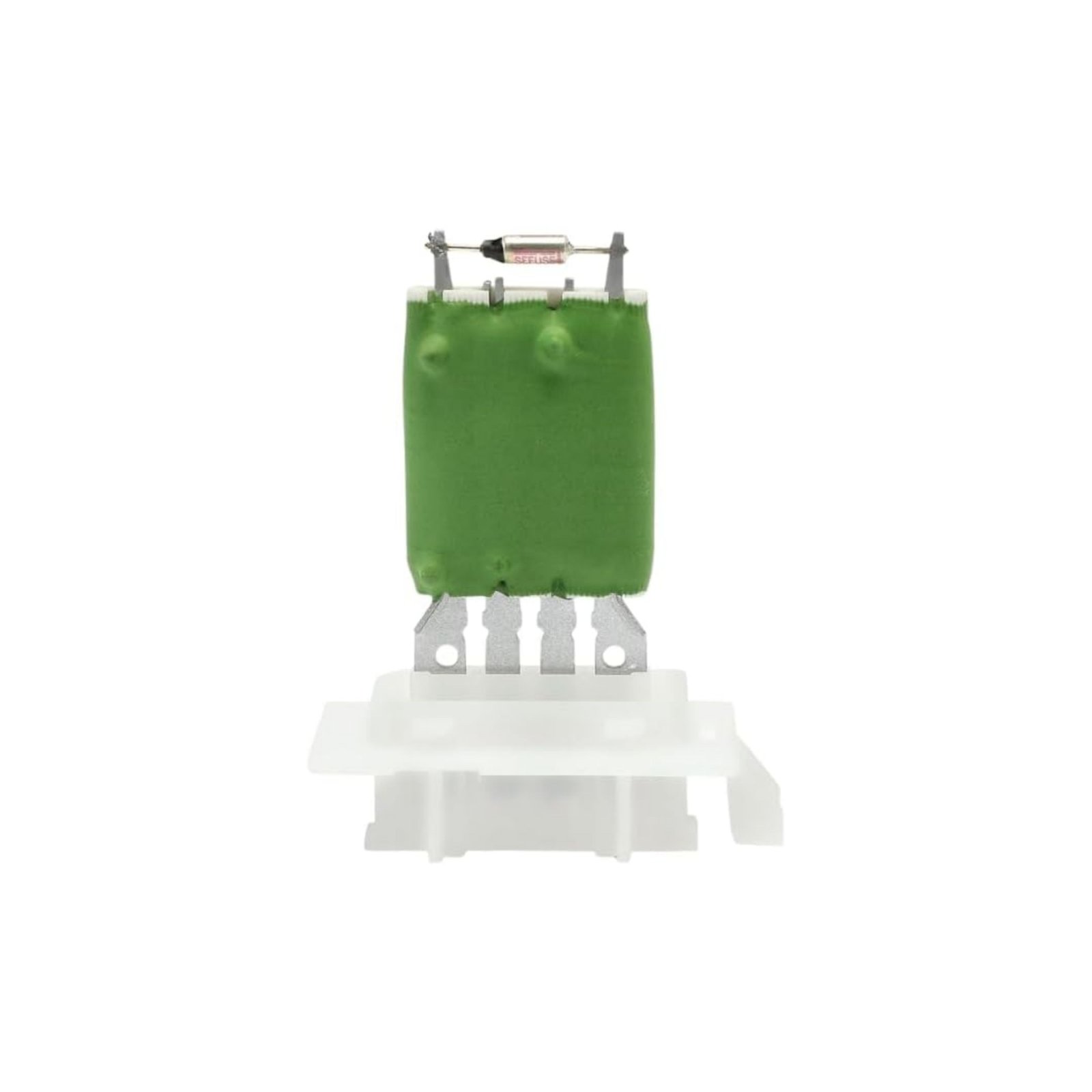RS002 (2) Resistencia de Moto Soplador RS002